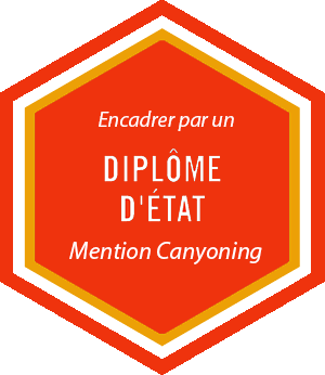 badge DE
