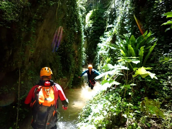 initiation-biodiversite-canyon-ruisseau-des-carmes-vercors-progression-eau Progression dans l’eau pendant l’initiation biodiversité au ruisseau des Carmes, ambiance végétation dense.